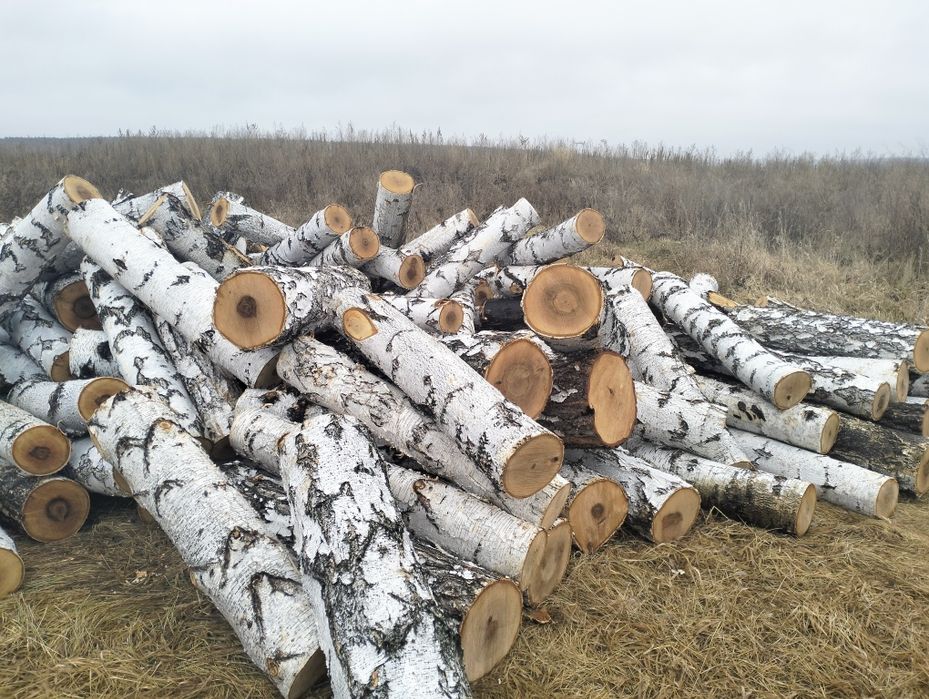 Деловой лес(кругляк)