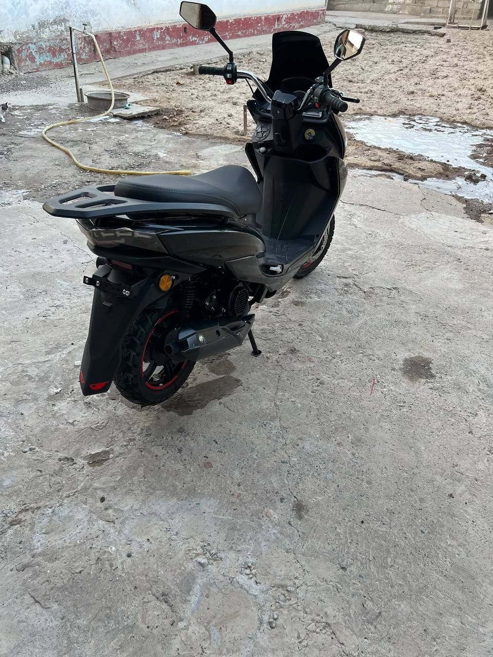 Sukuter Tiger sotladi