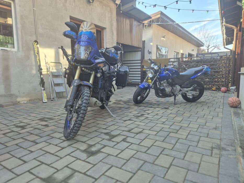 Honda Hornet 13 000 KM A2