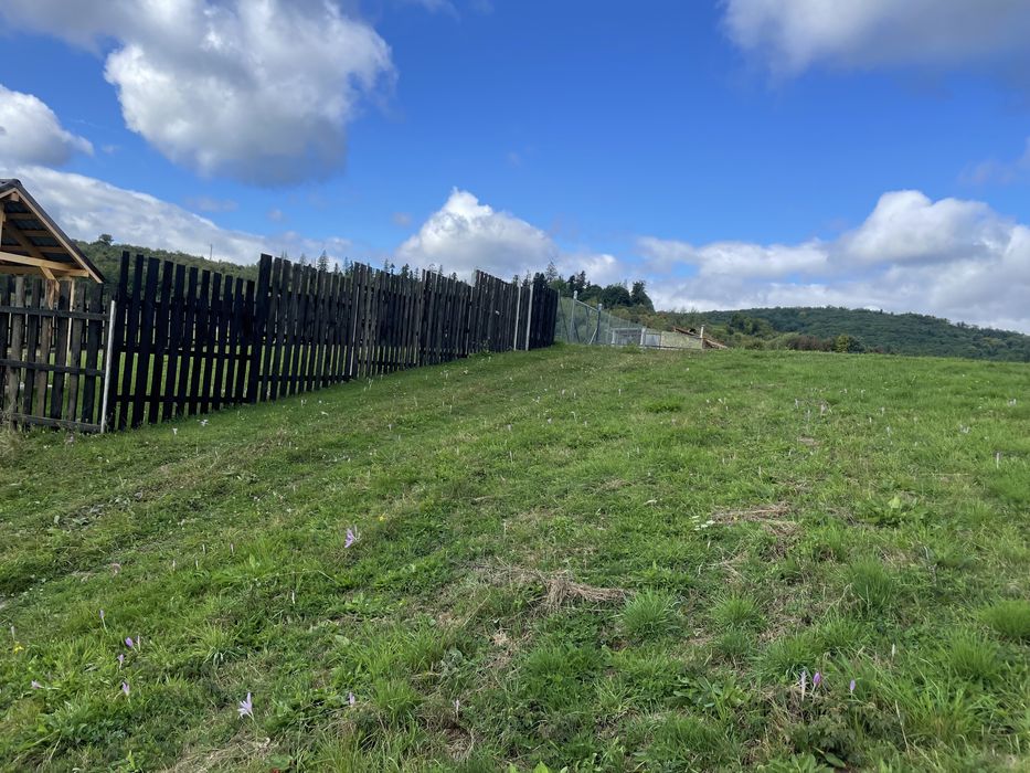 Teren Vulcan de vis RAR DISPONIBIL ( Colonia 1 Mai ) loturi proprietar