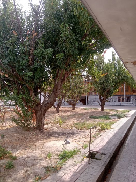 Келес участка сотилади