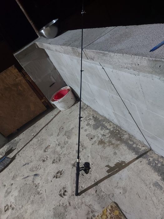 Undita de 1,68m lungimea