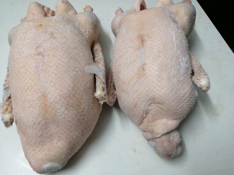 Гуси мясо домашнее.