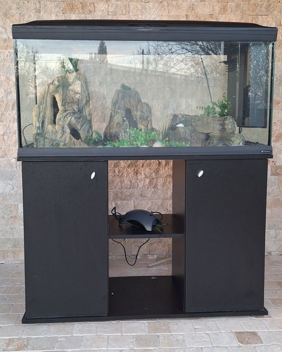 Vand acvariu de 250litri cu mobilier + filtru intern + decoratiuni