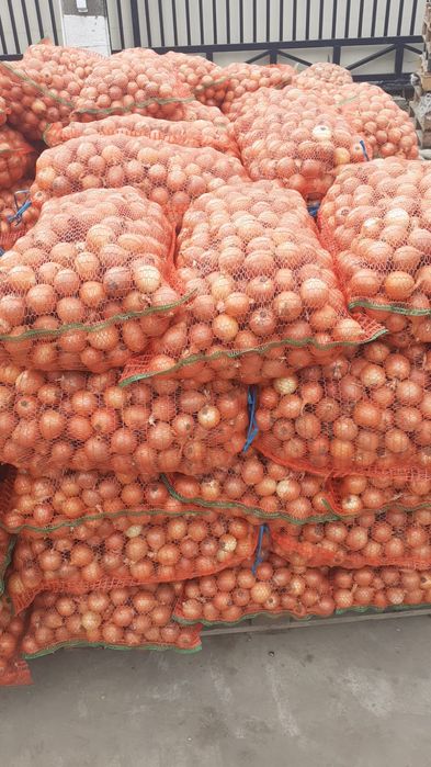 Morcov pătrunjel pastarnac țelină ceapă