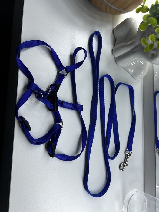 Accesorii caini marimea xs,s si m