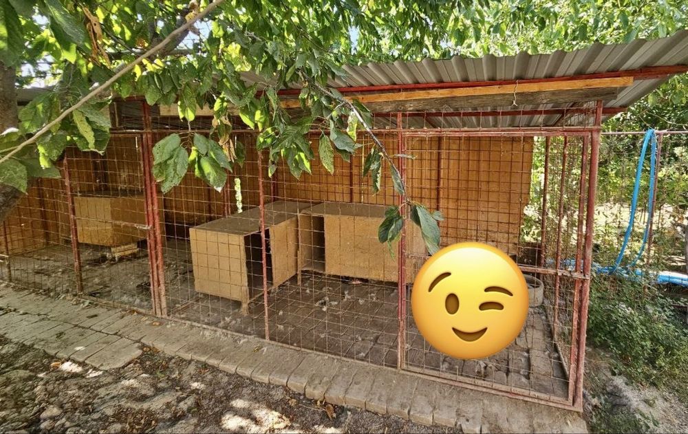 Katak (Клетка, вольер)