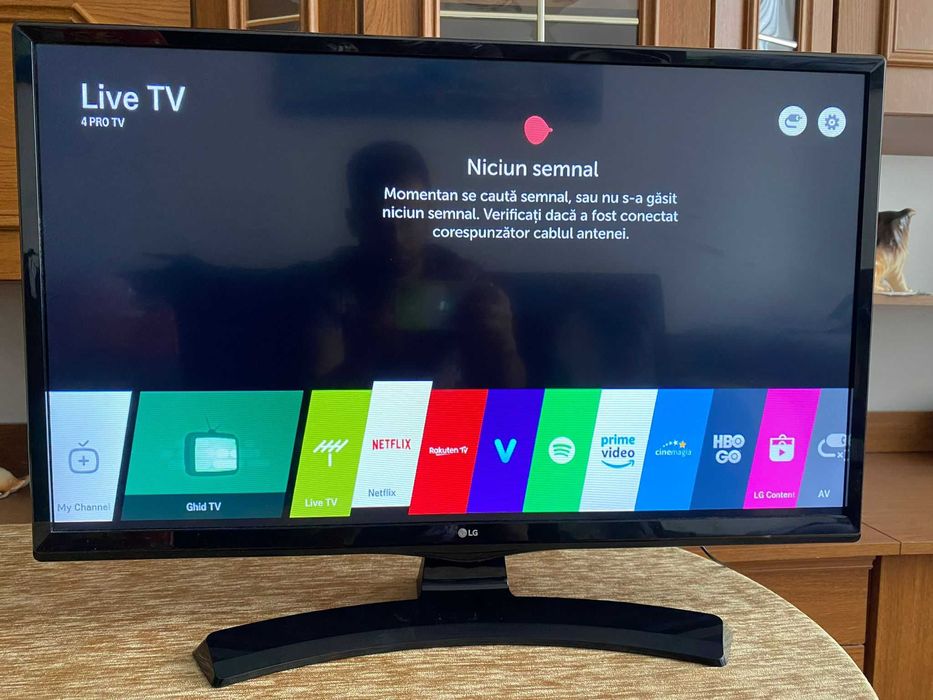 Smart TV LG Diagonala 70cm 28MT49s