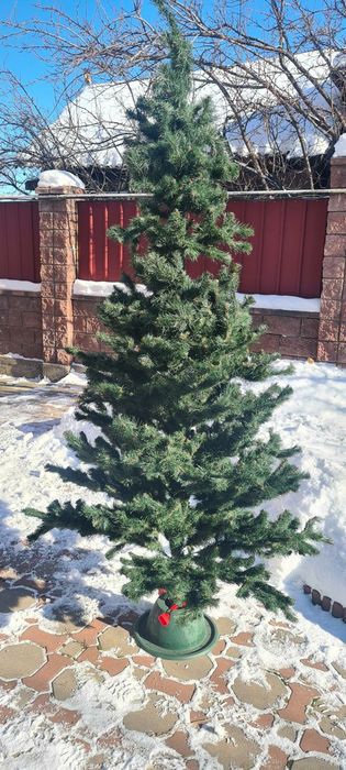 Елка новогодняя, больше 2х метров, зелёная, ПВХ