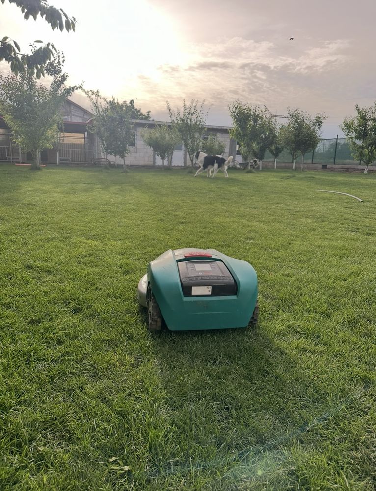 Bosch indego 1000