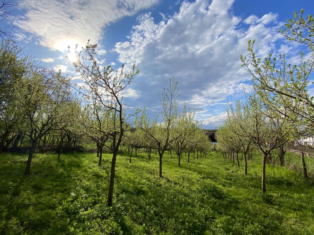 Casă de vânzare - Șeulia de Mureș,Com.Cucerdea