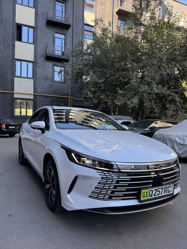 Byd chazor  2024 Flagship Gibrit