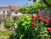 Teren cu casa  de vanzare pe strada Nicolae Balcescu-colt cu 9 Mai !