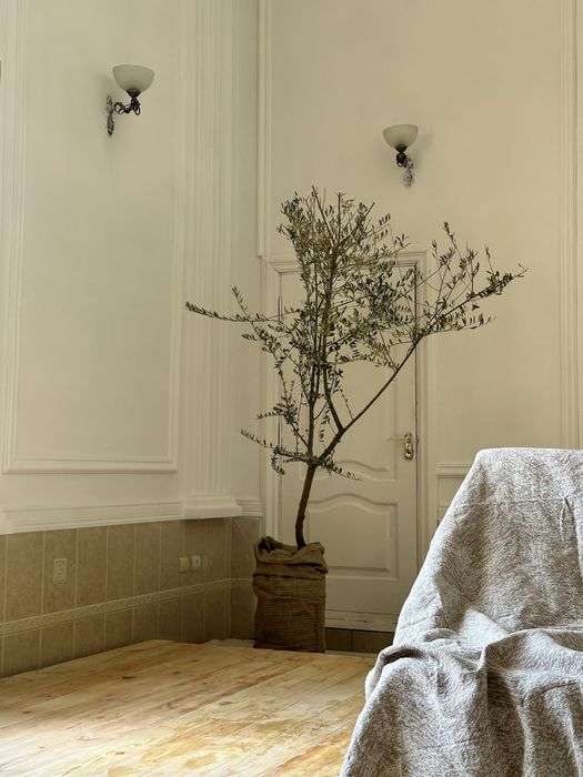 Сдается свой дом в центре Луначарского