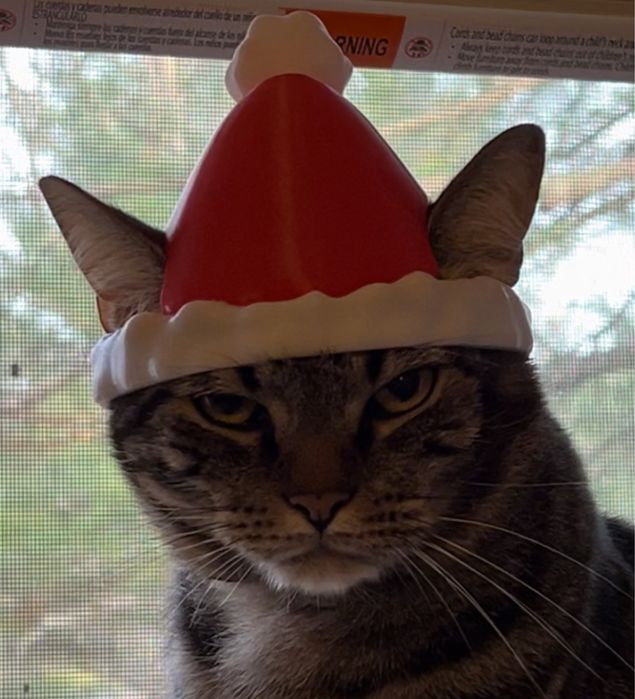 Шапка за котки (CatHat)