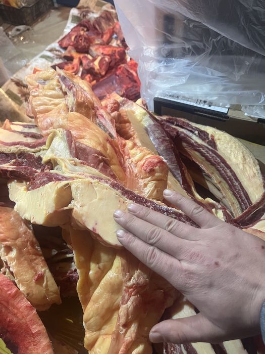 Согым донежин байтал