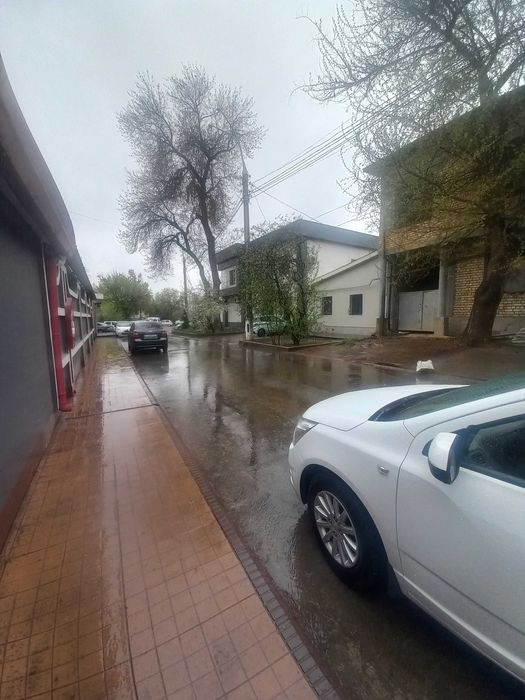 Пушкин  метро   под  клиника   офис