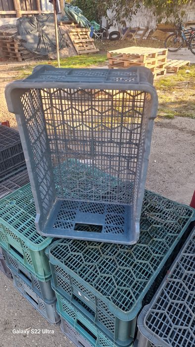 Lazi plastic  lădițe ambalaje