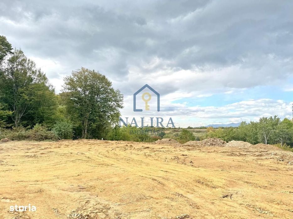 Teren intravilan de vanzare - Satu nou de Jos