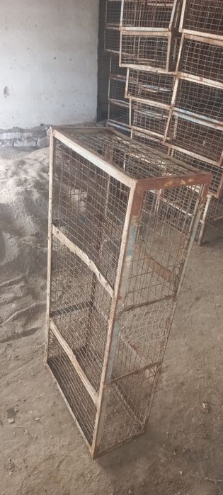 Tavuq tashish uchun setka holati yaxshi