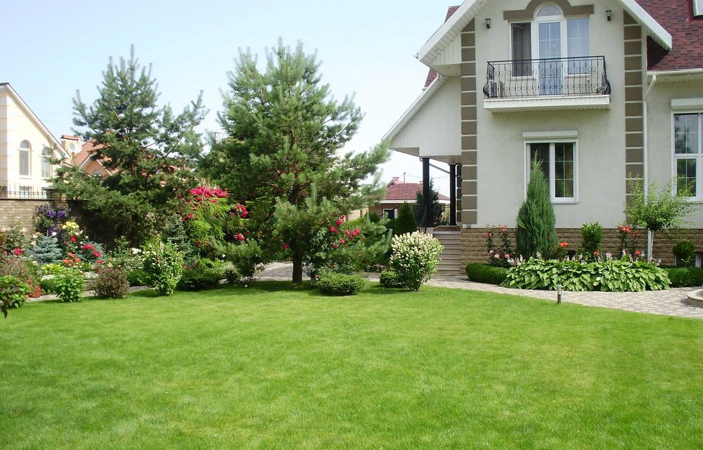 Арча экиш, шакл бериш, дорилаш, парваришлаш  хизматлари