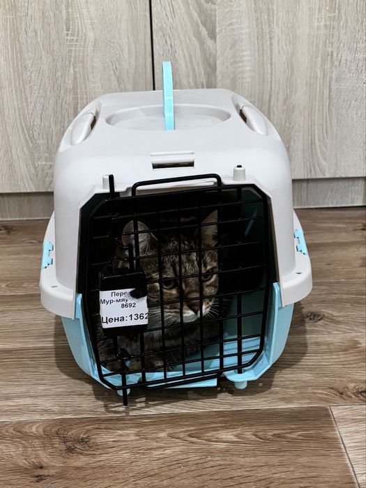 Переноска для кота