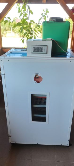 Incubator de 240 de ouă