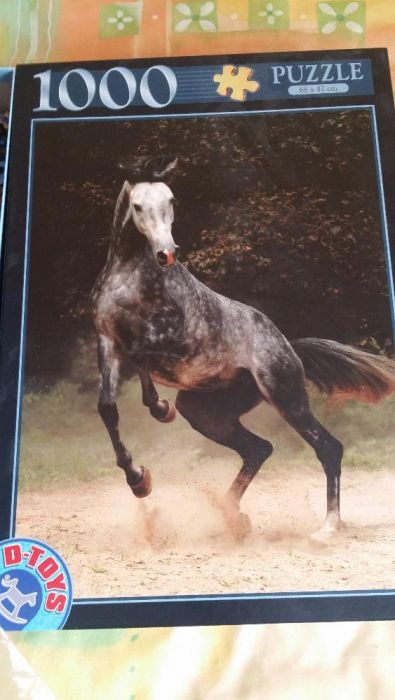 Vand Puzzle-uri - Corabie si Wild Horse