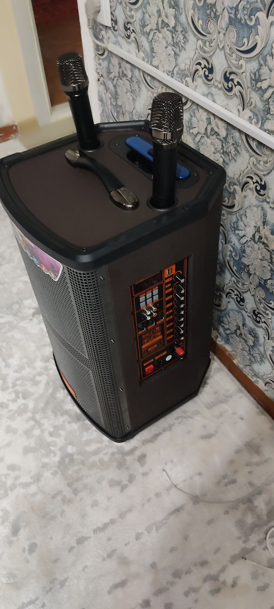 Колонка караоке NDR