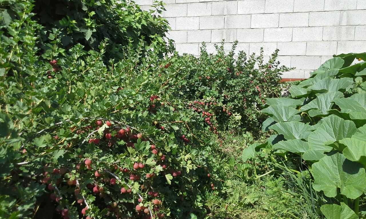 Продам дом в Алматы из 5 комнат, кирпичный
