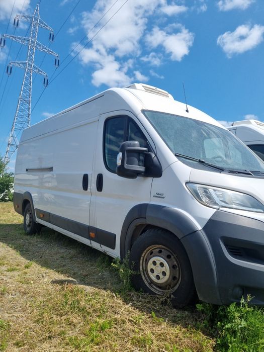 Fiat Ducato maxi frigorifice