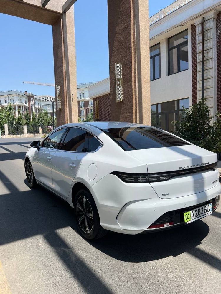 BYD chazor 120 tali