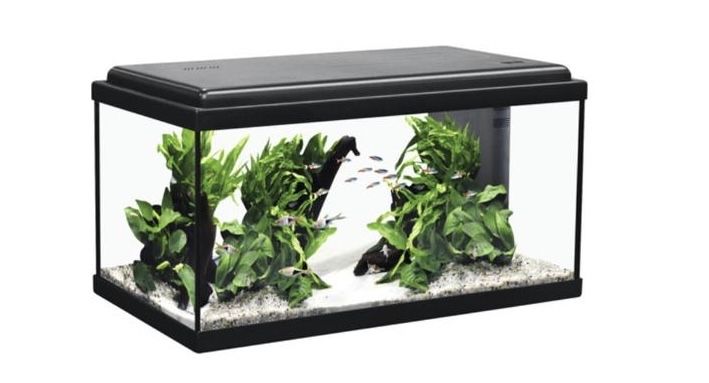 Acvariu 54 L cu tot cu pesti! 60x30x34