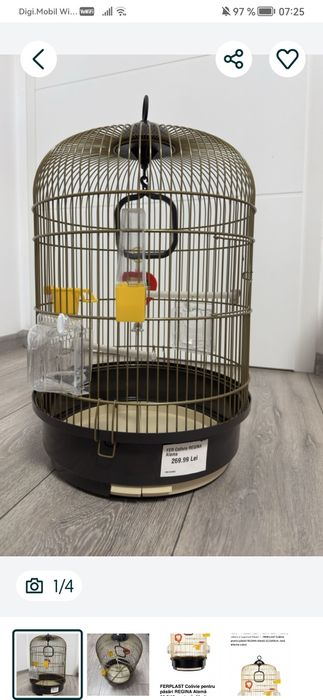 Colivie arata foarte bine