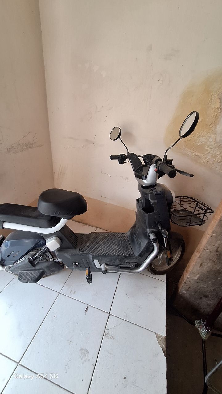 Skutor yangi hali 1 oy buldi