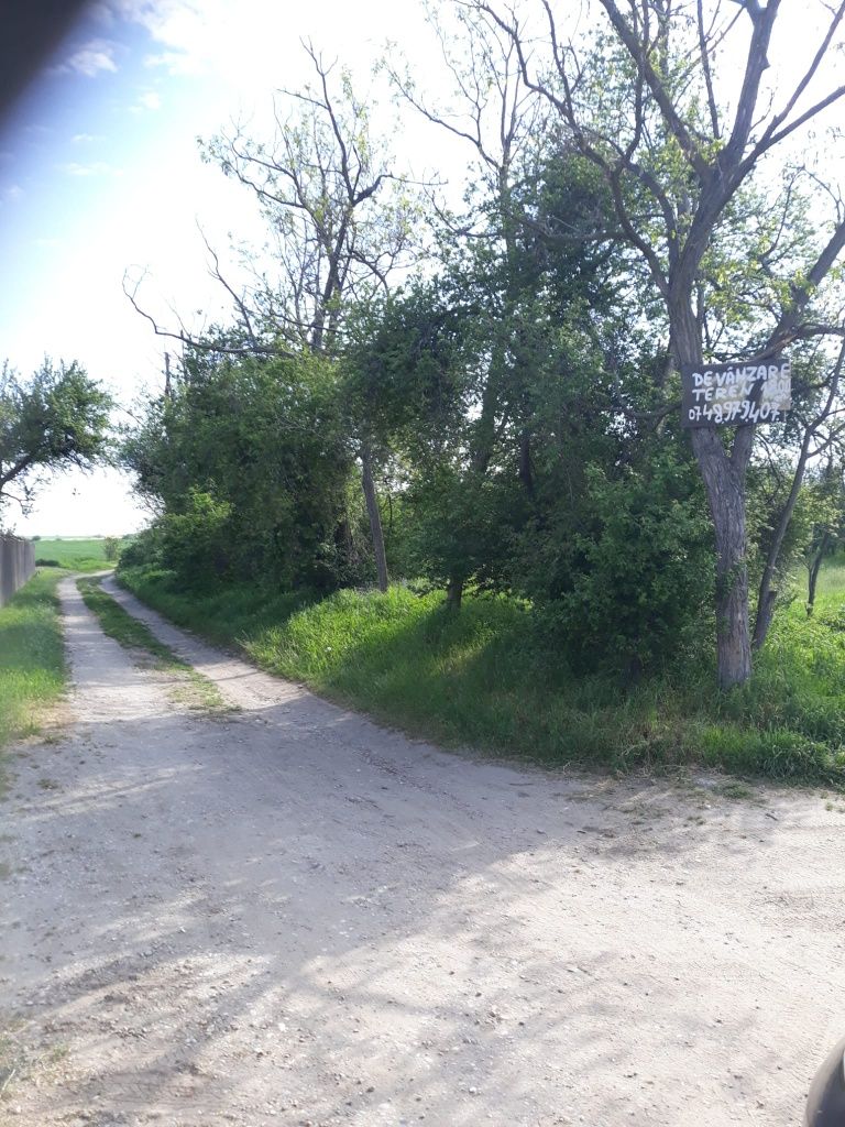 Teren intravilan