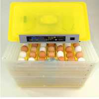 Автоматичен инкубатор за 112 яйца