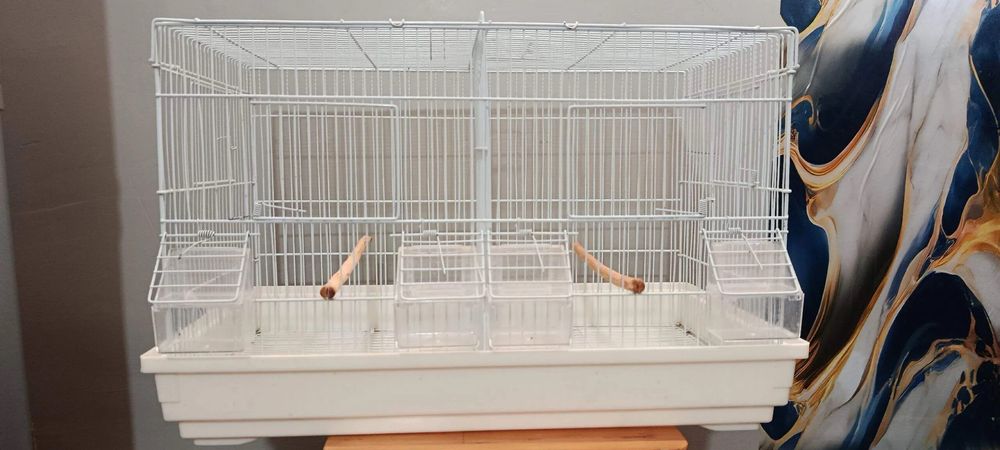 Хитой парофка кафас