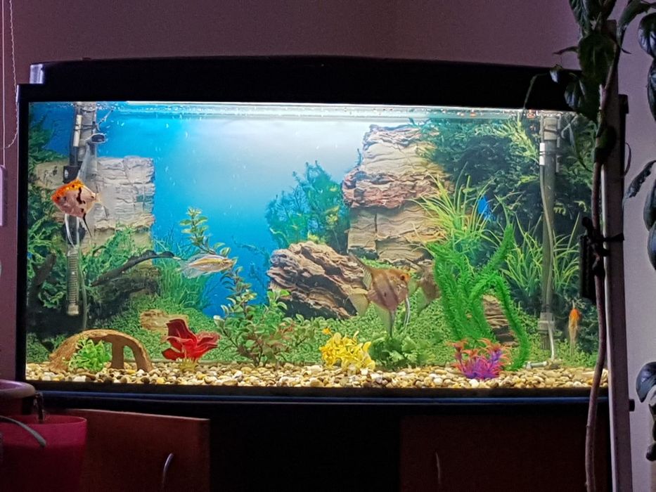 Acvariu capacitate 190 l