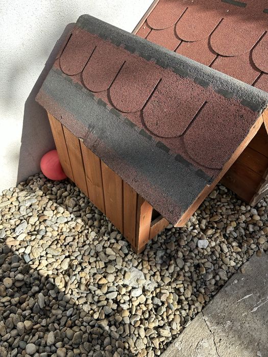 Cusca caine talie mica