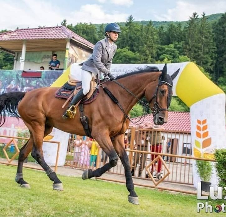 Iapa de sport, sarituri peste obstacole, echitatie, calarie