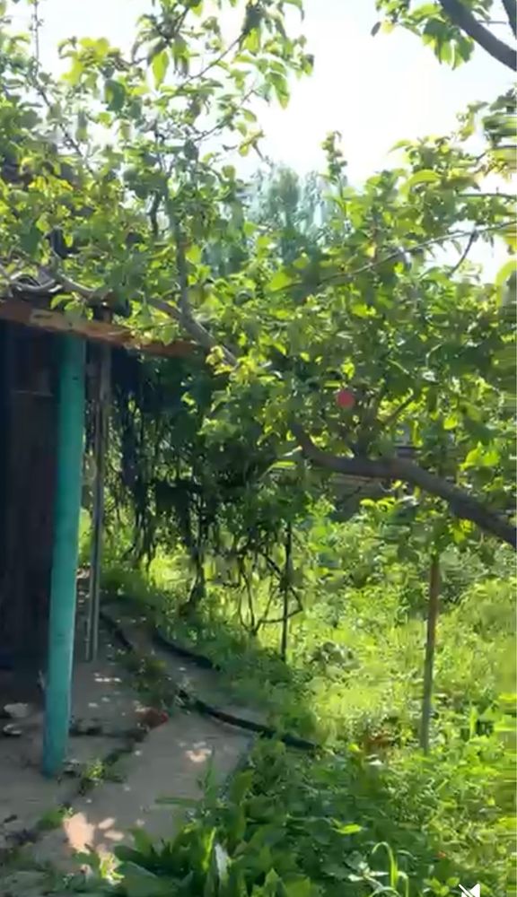 Продам дом в плодващном