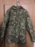 Scurta combat  fortele tetestre