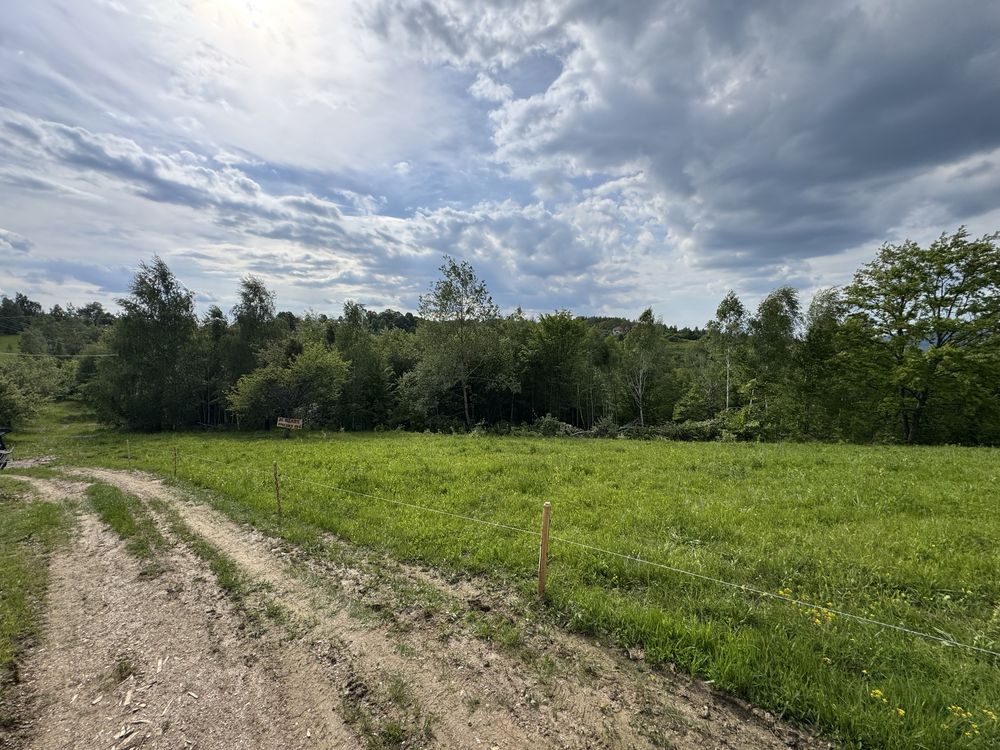 Vand teren la munte intravilan comuna Bulz sat Munteni cabana