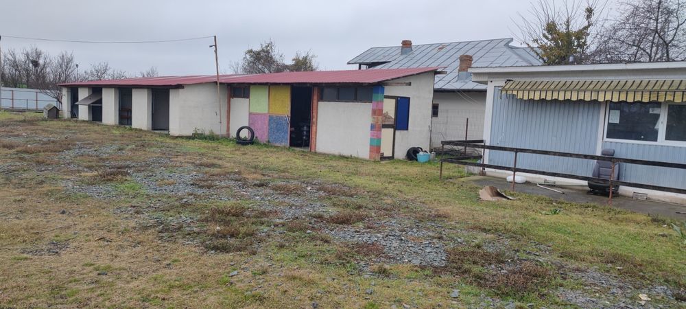 Garaje inchiriat hala container in bucu pe DN