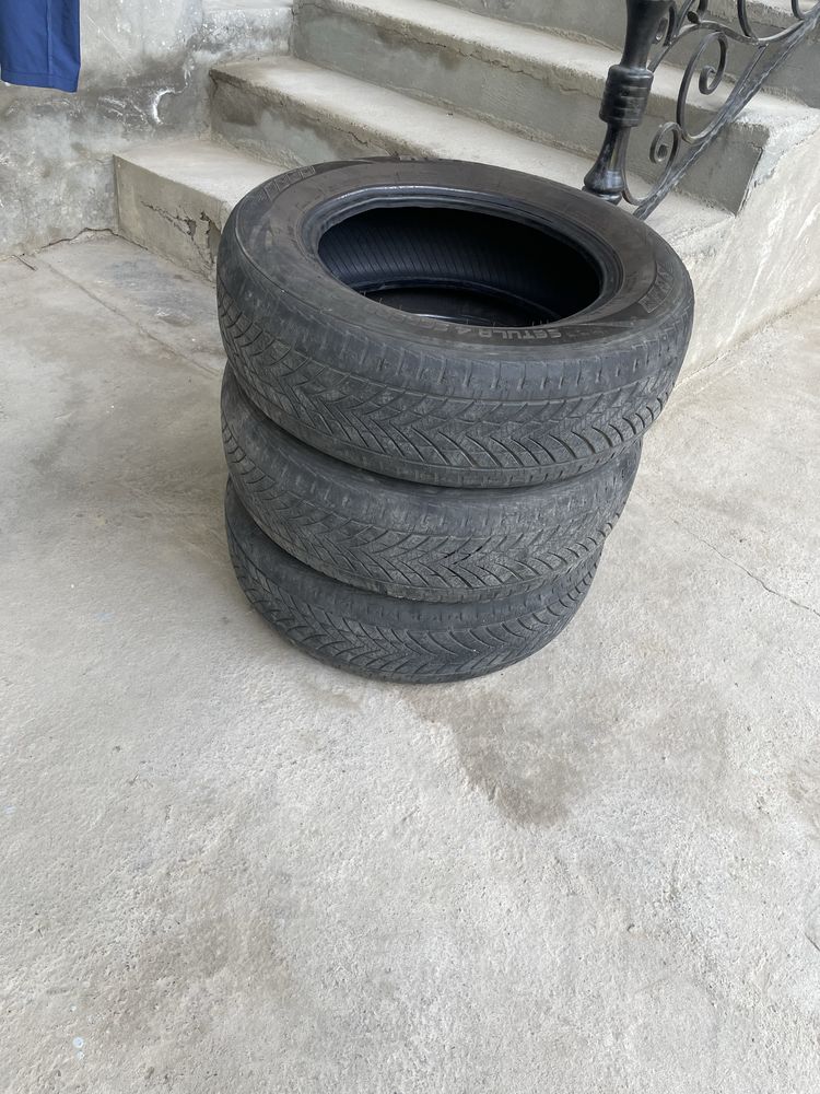 Rotalla shina B/U Xammasini oganga 300minga bervoramz