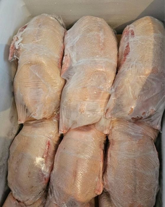 Продам мясо гуся!