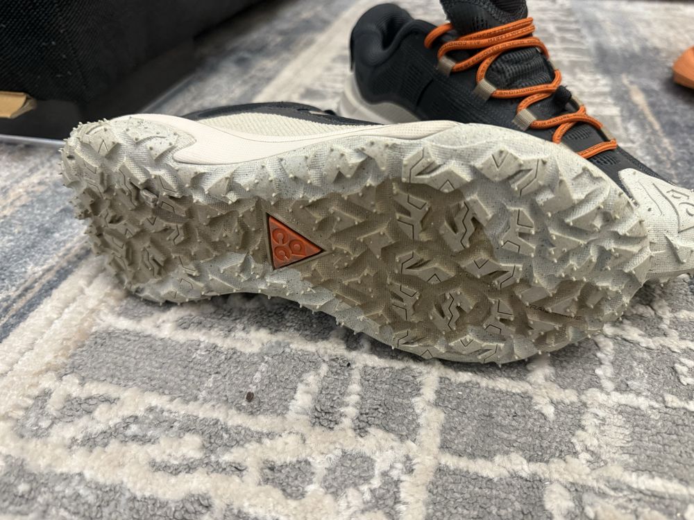 Nike ACG Mountain Fly 2 Gore-Tex Low Gray