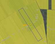 Teren agricol Stelnica, 4,5 HA, Unic propietar