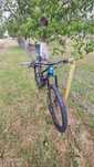 Mtb carbon filtru edict 1